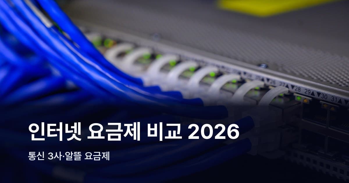 네트워크 스위치에 연결된 파란색 랜 케이블들